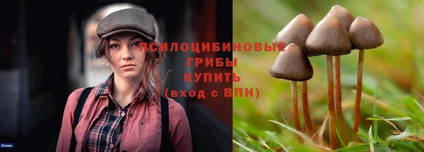 mdpv Баксан