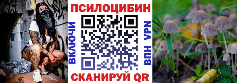 OMG маркетплейс Можга Псилоцибиновые грибы Magic Shrooms